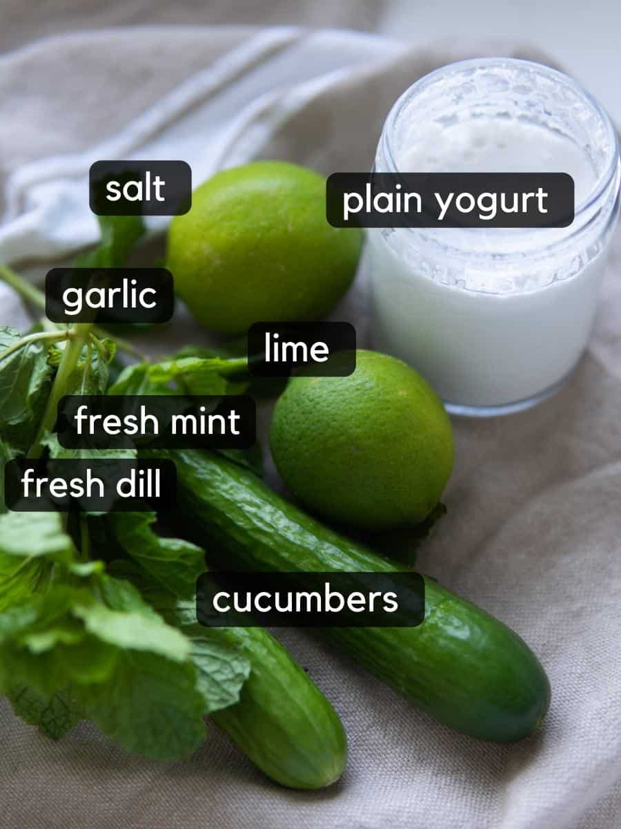ingredients for tzatziki recipe includes plain yogurt, lime, garlic, fresh mint and dill and cucumbers 