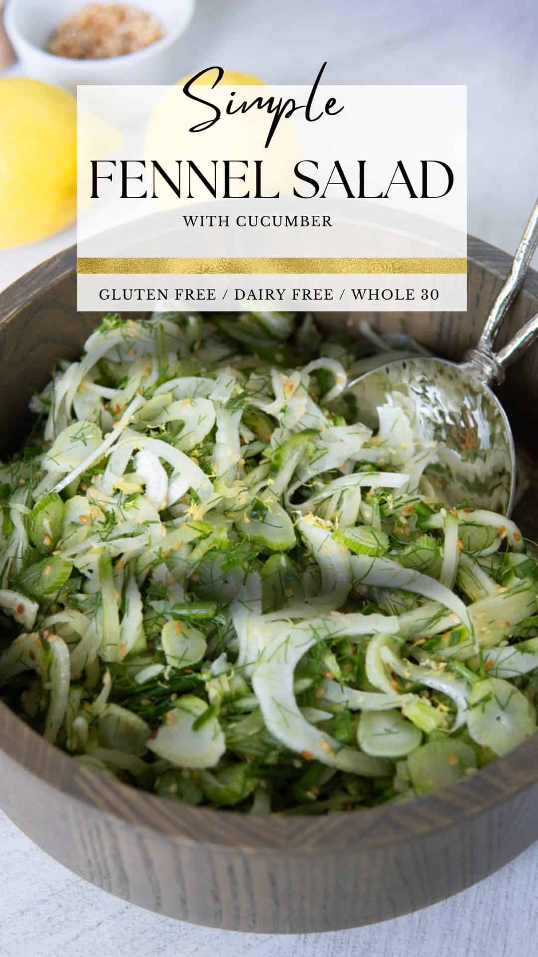 Simple Fennel Salad with Cucumber Minty Kitchen