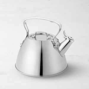 stainless steel tea kettle on grey background