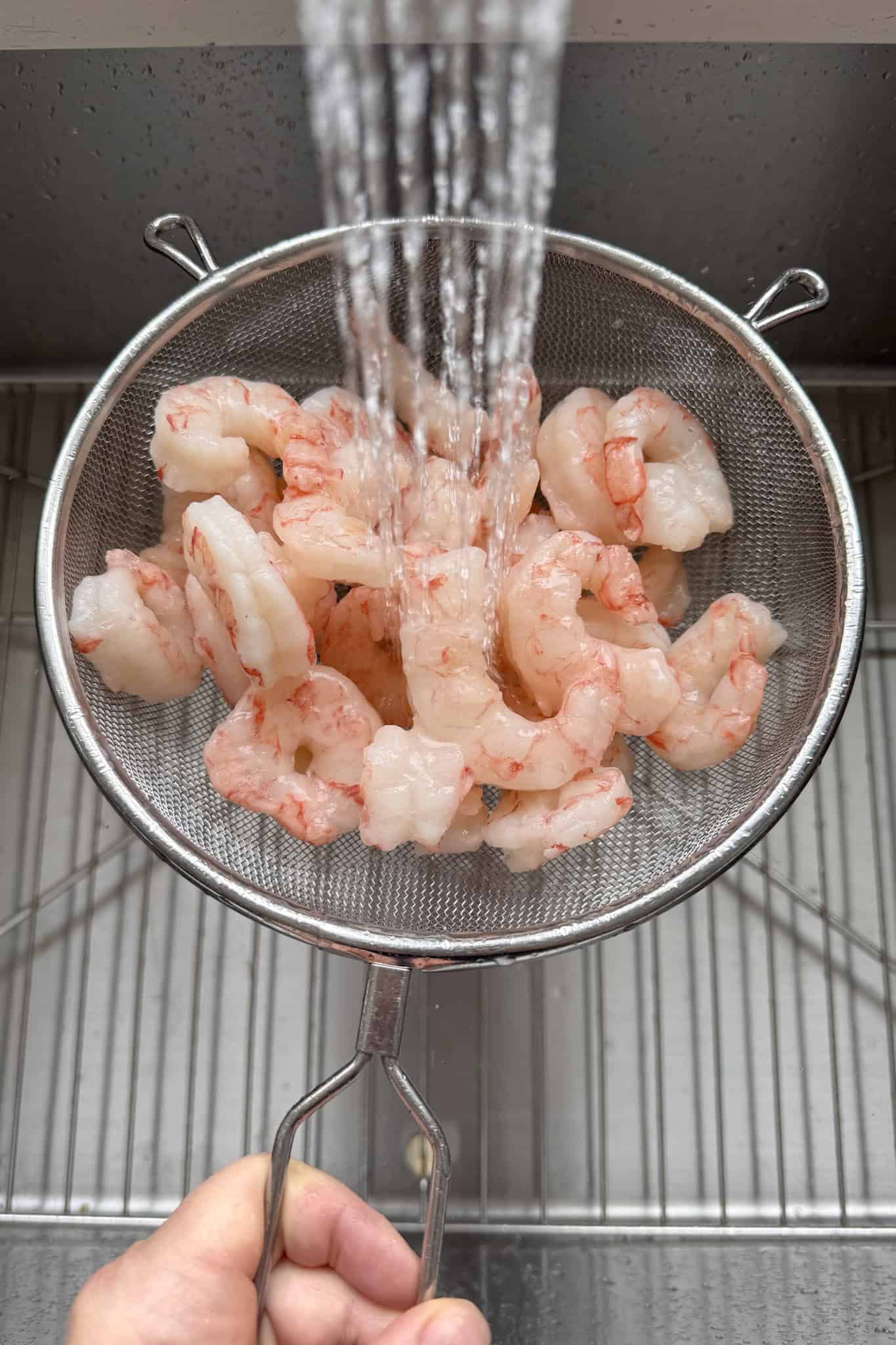 shrimp in colander, under running water