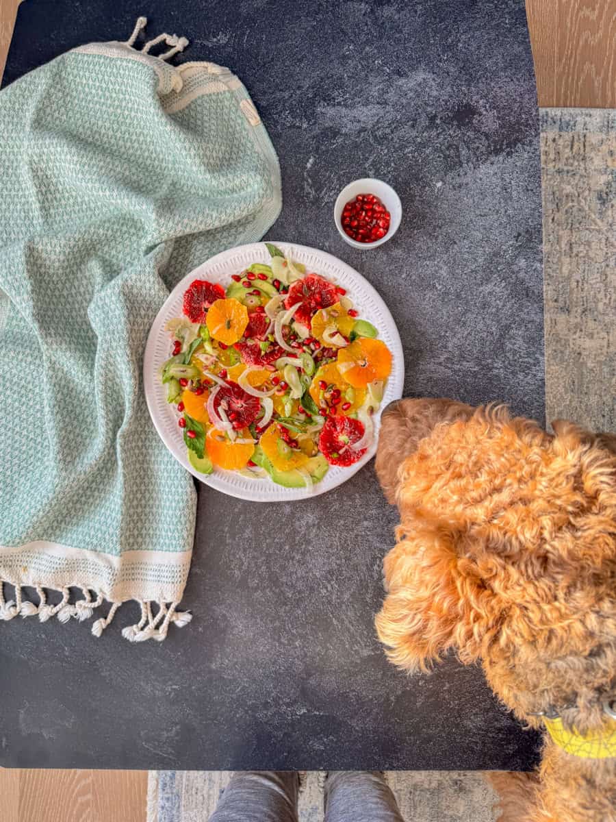 plate with a close up of a dog next to it 